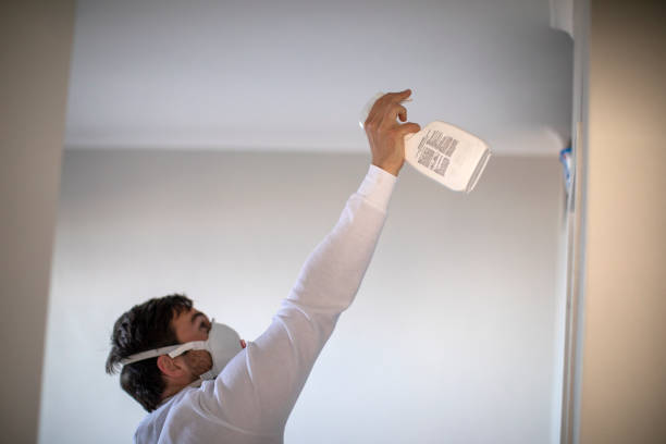 Mold Testing and Removal in Crawfordsville, IN