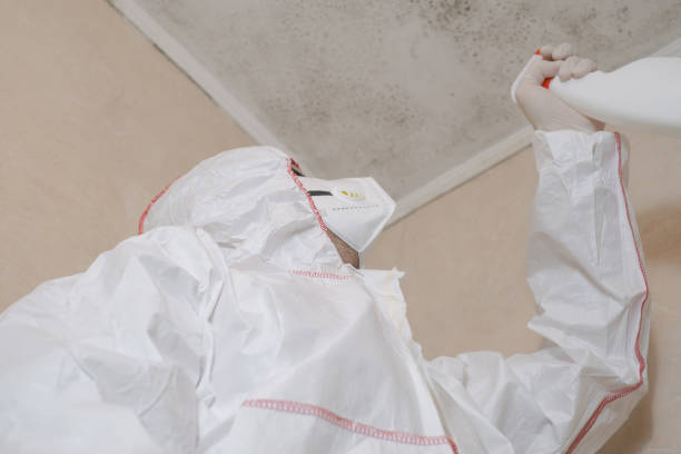Professional Mold Removal in Crawfordsville, IN